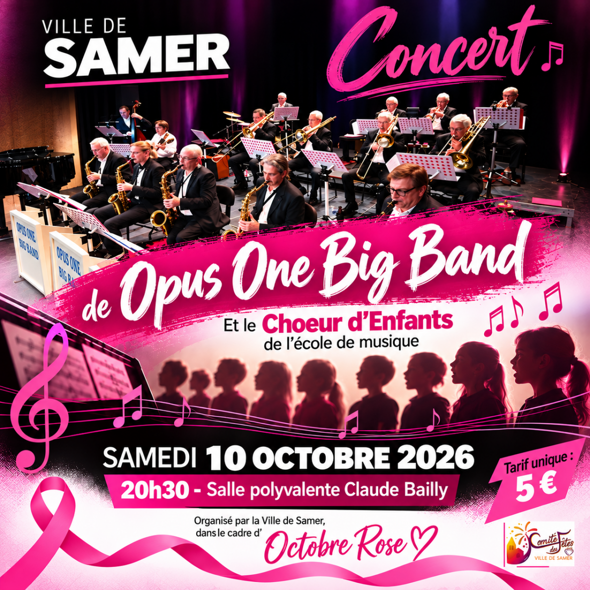 Affiche présentant les manifestations organisées dans le cadre d'octobre rose, le dimanche 11 octobre 2026, à la maison du cheval boulonnais, de 8h30 à 13h00